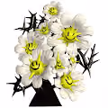 florygynals