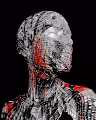 Project HUMAN | NFT Series - old