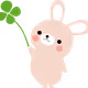 yupiipii