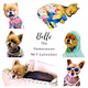 Belle the Pomeranian Collection
