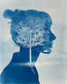 cyano.true curated