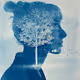 cyano.true curated
