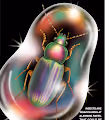 INSECTS EXTINCTION
