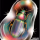 INSECTS EXTINCTION