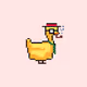The Crypto Ducks