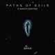 Paths of Exile - A Soul's Journey