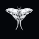 UN BUTTERFLY