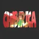 chibiRica | pass