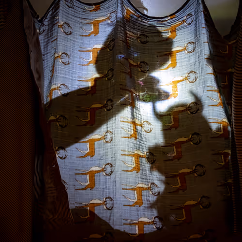 Heather N. Stout - Pandemic Winter