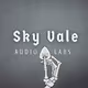 Sky Vale Audio Labs Commercial Audio