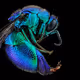 ILLMACRO