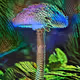 Mushrooms