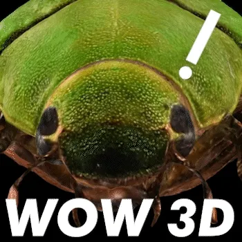 Wow 3D NFT Card (Museum Entrance)