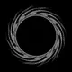 Black Hole