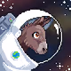 SpaceDonkey