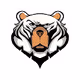 Official Crypto Bear Watch Club | CBWC - old