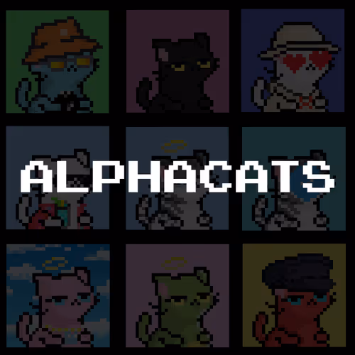 3 AlphaCats floor 0
