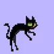 BlackCatsSociety