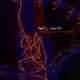 hell_ world by Jeffrey Scudder