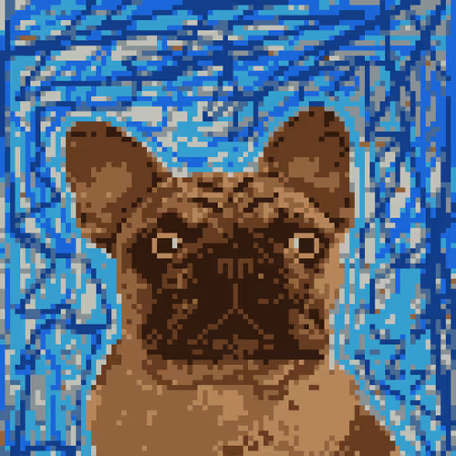 Boji The French Bulldog