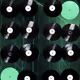 Vinyl