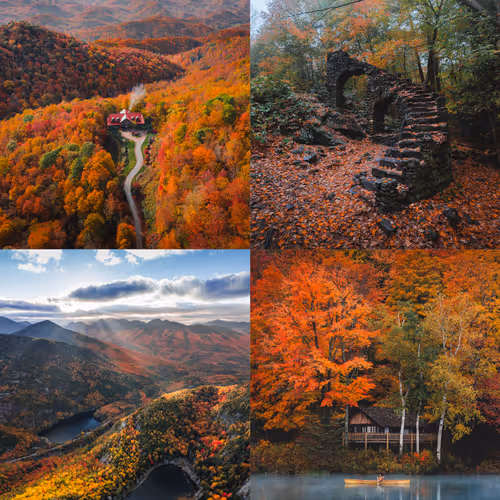 SEASONS by Brayden Hall