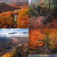 SEASONS by Brayden Hall