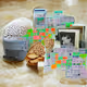 My memories and brain AI