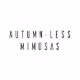 Autumn-less Mimosas