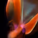 Bonzo's Spark