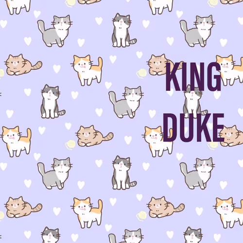The King Duke