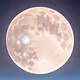 Moonlit Whimsy