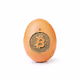world_record_egg_crypo - old