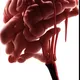 Incredible Brains | By DD - old