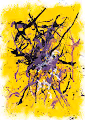 Semi randomly generated paintings - painted by worms