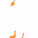 Draw the Goose