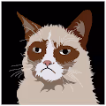 Grumpycat