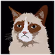 Grumpycat