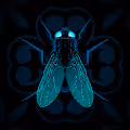 To Be A Fly On The Wall