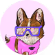 Mini corgi