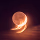 Moon Trails by WillFs