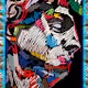 Scribble Collection