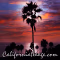 California Image