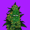 Bored Bud Bong Club
