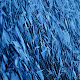 CodeBlue