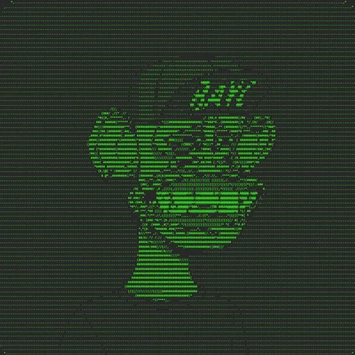 HTML APES