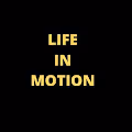 Life in Motion - by Elvie Lins - old