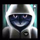 Rapper cat in Jail