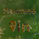 MapMind Pin Social