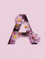 Flower AZ